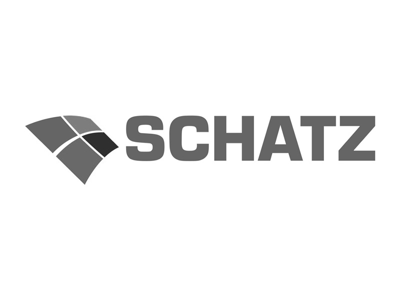 Schatz Logo SWS TeldaSec: Schatz Logo
